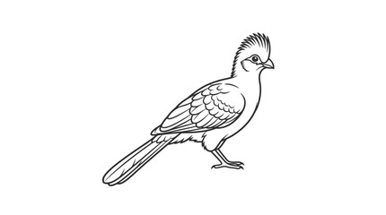 Fototapeta premium Elegant Line Drawing of a Crested Bird Standing Isolated on White Background