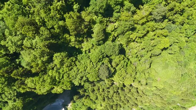 Altindere, Trabzon Province, Turkey. Sumela Monastery, terracotta rooftops and stone structures built into a sheer cliff face, aerial drone view. Aerial View, HEAD OVER SHOT with rotation, MasterShot