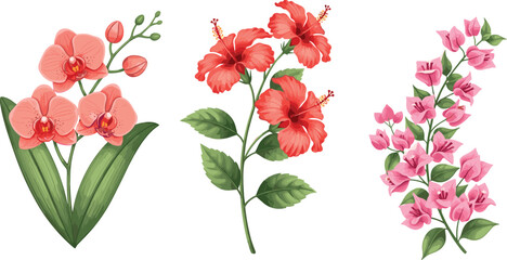 Beautiful Tropical Flower Set with Pink Orchid Red Hibiscus and Bougainvillea Blooms in Watercolor Flat Vector Illustration Style © Rtazmina