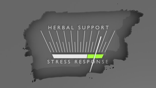 Influence of herbal support on cortisol values. Scales of cause and effect. Meter showing increasing high values. Getting good results. Pharmacy medicine concept. Nutritional support. 3D render