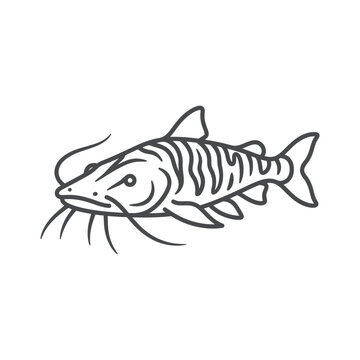 Tiger shovelnose catfish line art icon design.