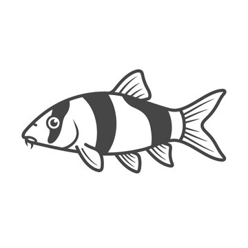 Clown loach tropical fish line art vector illustration.