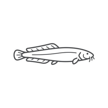 Bowfin fish line art illustration with long dorsal fin.