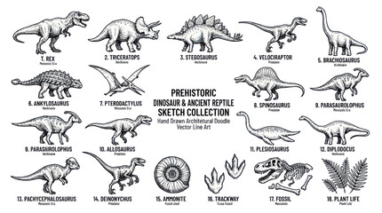 Dinosaur Collection Sketch Art: Prehistoric Reptiles, Fossils, and Footprints © ijo