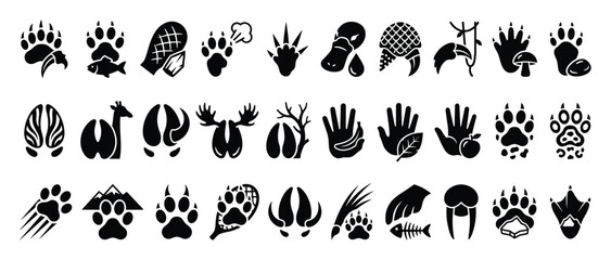 Obraz premium Set of animal paw prints, human hand icons. Wildlife tracks, hoof marks, nature signs, adventure symbols. Camping, hiking, outdoor educational graphic elements.