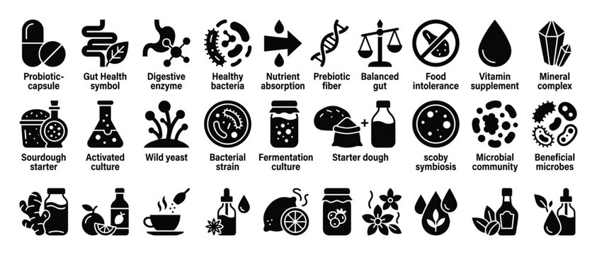 Probiotic gut health icon set. Digestive enzymes, healthy bacteria, nutrient absorption, prebiotic fiber, balanced gut, food intolerance symbols. Fermentation culture, microbial community.