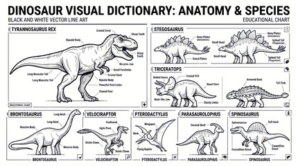 Dinosaur Anatomy and Species Educational Chart: Tyrannosaurus Rex, Stegosaurus, Triceratops © Iwak