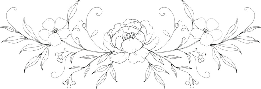Elegant floral peony header divider with swirling vines and berries for wedding invitation stationery design and sophisticated botanical border art elements