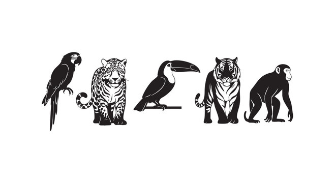 Set of jungle animals including parrot leopard toucan tiger and monkey isolated on white background vector illustration.