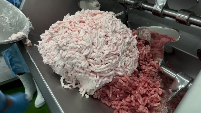 Ground pork and pork fat being loaded into an industrial mixer during food manufacturing operations. Raw material preparation process supporting ingredient blending, product consistency, and large-sca