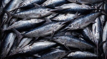 Obraz premium Fresh raw swordfish piled together at a bustling fish market displaying silvery metallic skin texture and sharp bills in a high angle overhead culinary composition