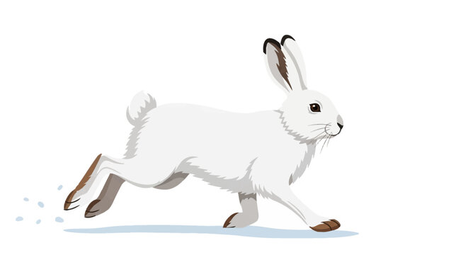 Vector illustration of a white snowshoe hare running on snow, side profile view of an arctic rabbit leaping with long ears and black-tipped fur isolated on a plain white background.