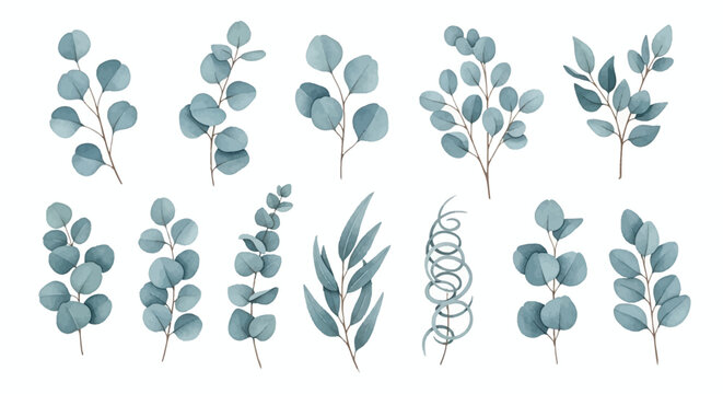Set of watercolor eucalyptus branches and foliage in blue and teal tones, featuring various leaf shapes like silver dollar and willow, isolated on a white background for design.