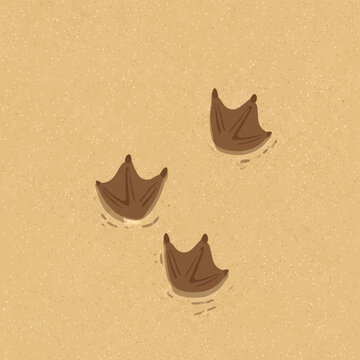 Top-down view illustration of three brown webbed bird footprints impressed into fine beige textured sand, depicting seagull or duck tracks on a beach coastal environment.