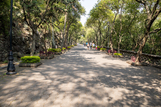 People in the Street of Chapultepec park Mexico