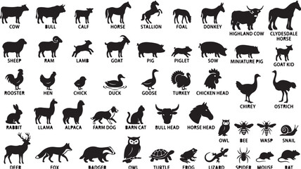 Naklejka premium Farm animal silhouettes collection, 48 livestock and wildlife icons with labels, black vector farm animal set for agriculture and nature design