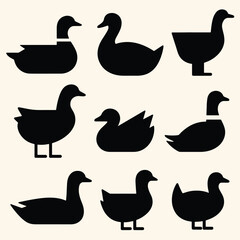 Obraz premium Vector Set Collection of Simple Duck Silhouette Icons Illustration Creative Design Template 
