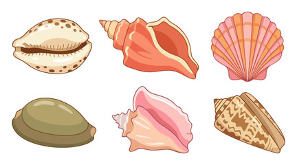 Detailed set of colorful seashell vector illustrations featuring various marine mollusks with unique shapes and patterns for creative graphic design projects © Ibnu Gazali
