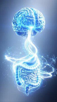 Brain gut connection glowing blue light human anatomy brain gut axis energy illustration glowing neural digestive system swirl futuristic design medical art science anatomy health concept