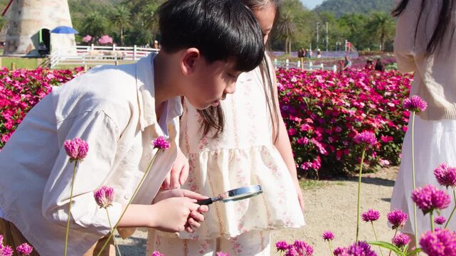 Asian Boy and Girl Examining Pink Flowers with Magnifying Glass Outdoors