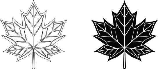 Maple leaf outline and solid shape set in professional graphic illustration vector design. © kajallata