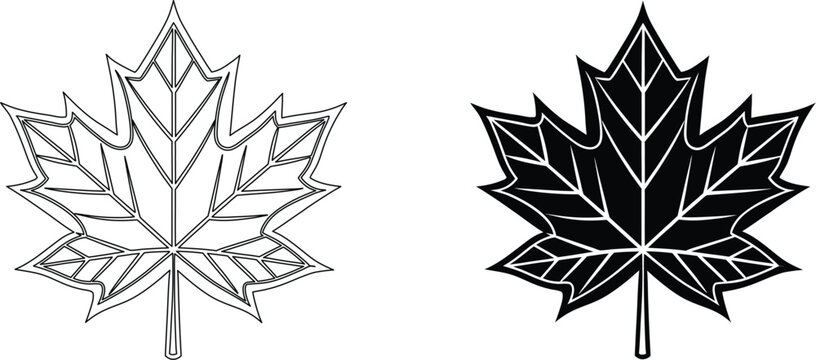 Maple leaf outline and solid shape set in professional graphic illustration vector design.