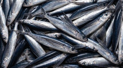 Fototapeta premium Fresh raw flying fish pile displayed at local seafood market showing detailed silver scales and elongated fins for culinary preparation and commercial fishing industry