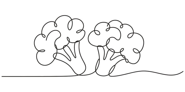 Continuous single line drawing of two broccoli heads fresh vegetable food