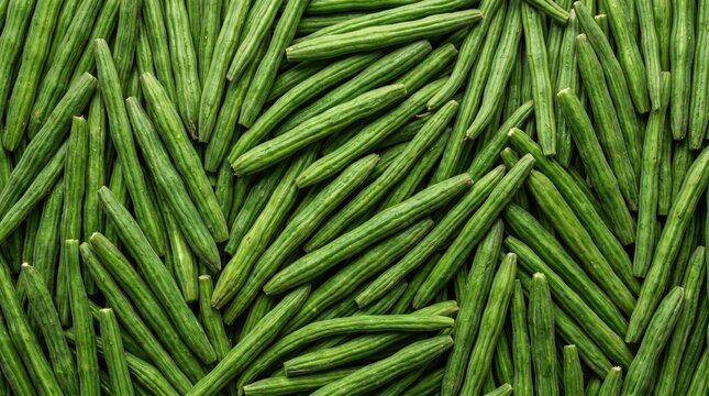 Fresh green drumstick vegetable harvest arranged in a dense pattern texture background for healthy organic cooking ingredients and nutritious food concept photography