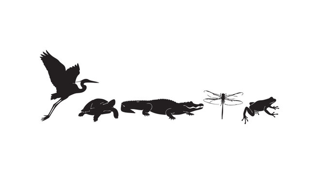 Wildlife collection featuring silhouette of swamp animals including crane turtle alligator dragonfly and small frog icon.