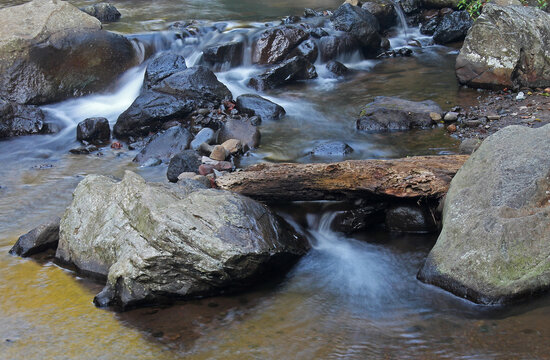 Flowing forest stream with smooth water cascading around rocks and a fallen log