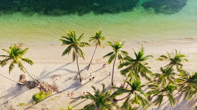 Drone footage above crowded sunrise beach with informal photo queue scene