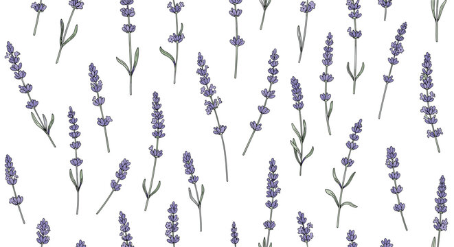 repeating pattern of purple lavender sprigs on a white background creates a fragrant and calming floral design suitable for textiles and papers.