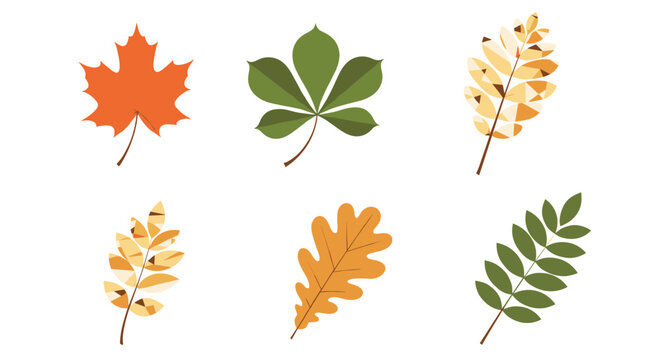 Collection of six different autumn leaves like maple and oak is shown in various fall colors and geometric patterns.