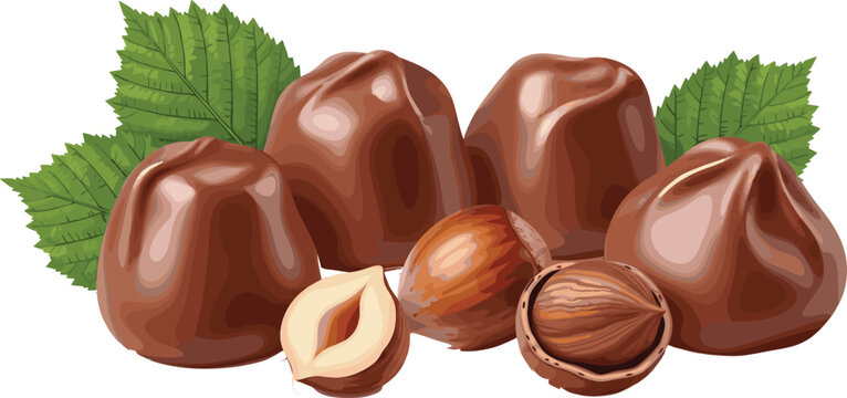Hazelnuts Collection with Whole and Cracked Nuts Green Leaves Organic Food Vector Illustration Set