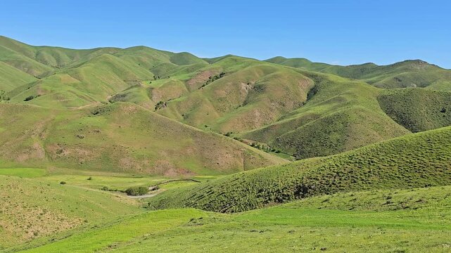 Rolling green hills under a clear blue sky, showcasing a peaceful mountain landscape with natural textures and vibrant spring scenery.
📍 Marivan, Kurdisatn, Iran 