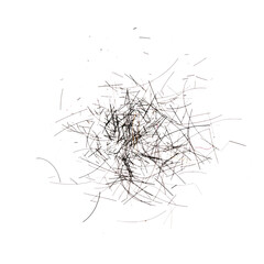 Fototapeta premium Scattered Loose Hair Strands on White Background with Fine Texture and Natural Abstract Fiber Pattern