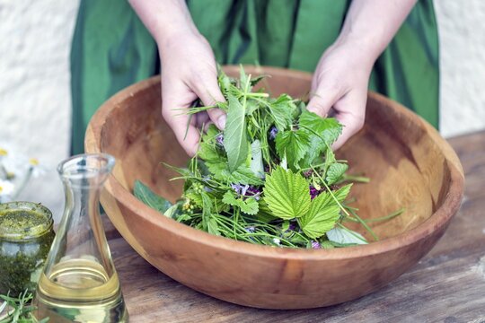 Wild herb salad, Rauris, Pinzgau, Salzburger Land, Austria