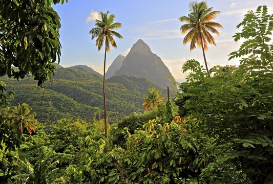 Tropical landscape with the two Pitons, Gros Piton 770m and Petit Piton 743m, evening sun, Soufriere, St. Lucia, Lesser Antilles, West Indies, Caribbean Islands