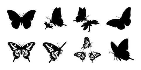 Butterfly Silhouettes and Detailed Vector Illustrations, Insect Graphics Set, Nature Elements, Flying Creatures Collection © Sabiha