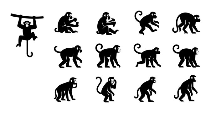 Vector Monkey Silhouettes Collection, Primate Poses Set, Jungle Animal Icons, Black and White Graphic Elements