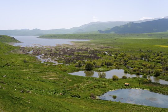 Wide landscape with wetlands and plants, surrounded by green hills and mountains, in the background the Spandaryan Reservoir, Spandarian, fed by the Vorotan River, Vorotan, Syunik Province, Armenia