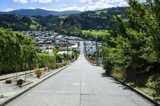 Baldwin street the worlds steepest residential street, Dunedin, South Island, New Zealand