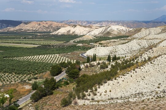 Desert landscape with winding roads, scattered trees and mountains under a cloudy sky, Dehesas de Guadix, Gorafe Desert, Granada, Andalusia, Spain