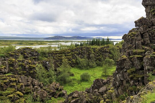 Thingvellir National Park, green volcanic landscape with Lake &THORN;ingvallavatn, Thingvallavatn in summer, rift valley, Almannagja, Allmans Gorge, tourist attraction on the Golden Circle, Sudurland, Iceland