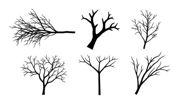 Minimalist Bare Tree Silhouettes, Winter Branch Vector Icons, Seasonal Woodland Elements, Graphic Design Assets