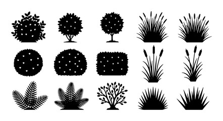 Black Silhouette Garden Plants and Grasses Collection, Vector Icons for Landscaping and Nature Design Elements © MdFarhan
