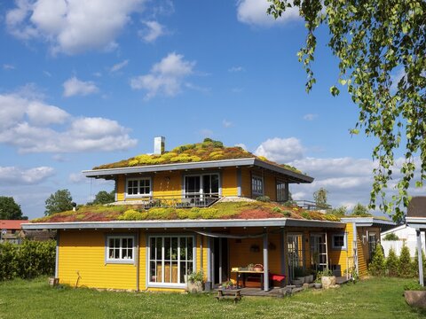 Wooden house with colourful flowering green roof, roof of own home with plants and herbs, new low-energy house