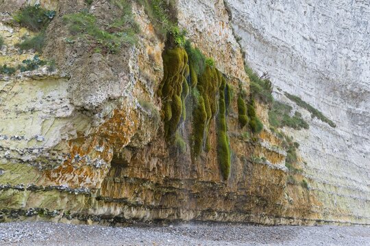 The weeping rock, la Roche qui Pleure, Grainval, Saint-L&eacute;onard, Seine-Maritime, Normandy, Alabaster Coast, English Channel, France