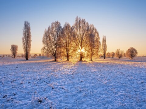 Winter landscape at sunrise, field with snow, trees with hoarfrost, Unstrut valley, Freyburg an der Unstrut, Saxony-Anhalt, Germany